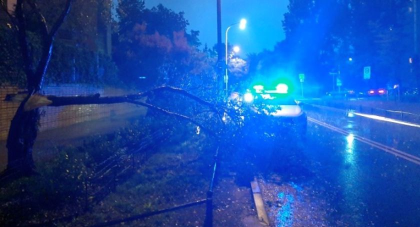 Złamany konar, samochód. Noc.