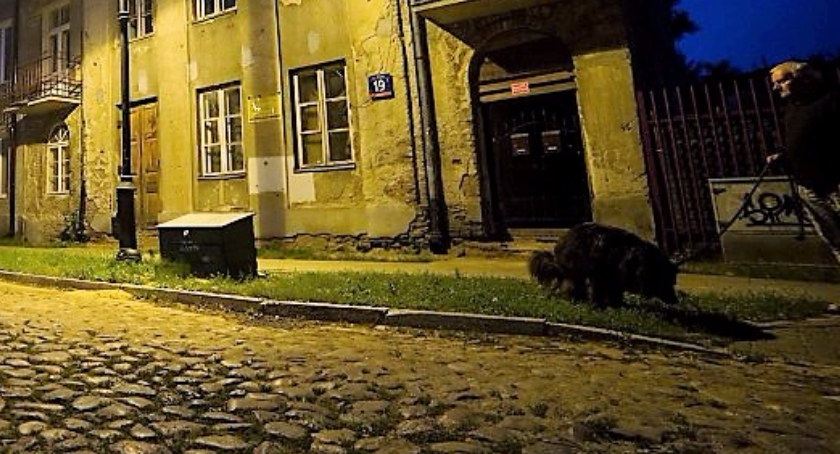 Duchy Mokotowa nocą: Fort Czerniakowski, Powsińska, Okrężna – lekcja historii po zmroku