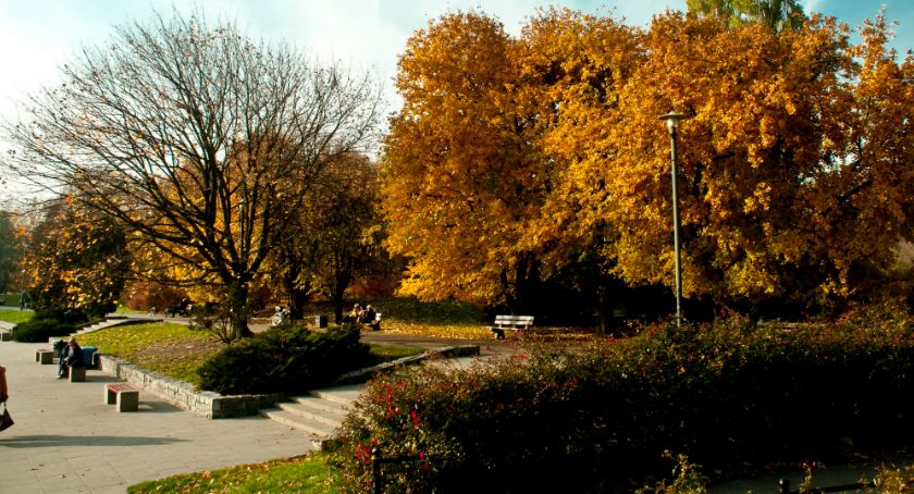 Park Pole Mokotowskie 