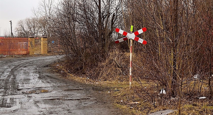Czy powstanie Park Linearny na Wyględowie – wzdłuż dawnej bocznicy kolejowej?