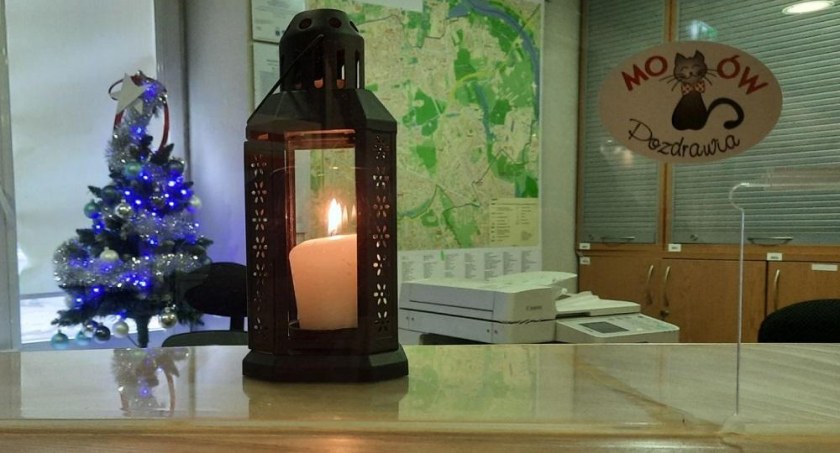 Lampka