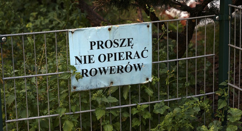 zdjęcie rower 