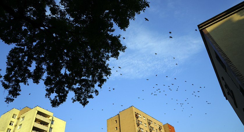 zdjęcie Ulica Wiktorska 