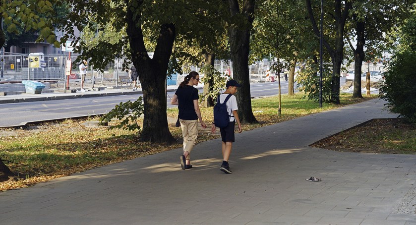 zdjęcie ptak 