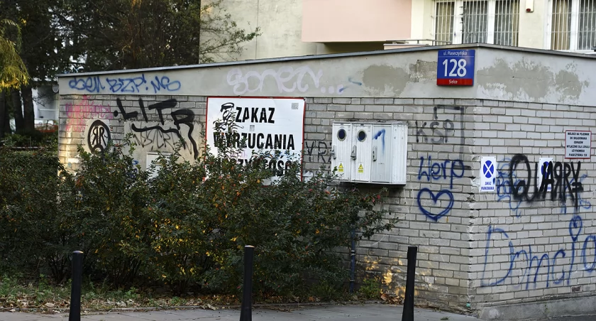 zdjęcie Ulica Piaseczyńska 
