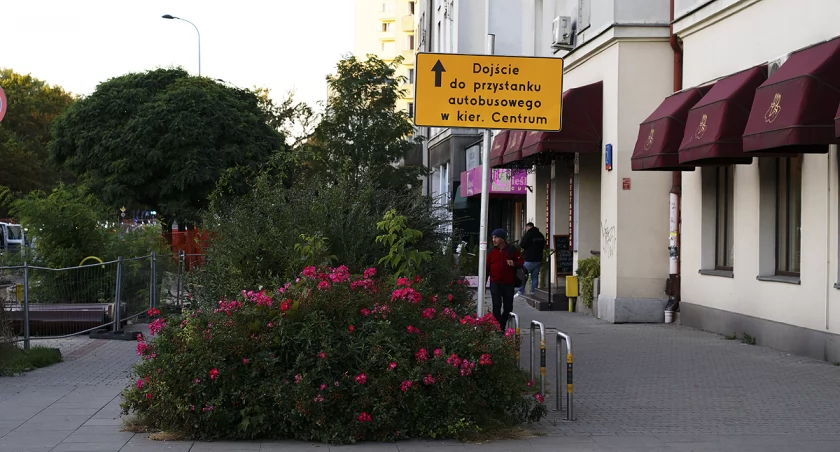 zdjęcie Ulica Belwederska 