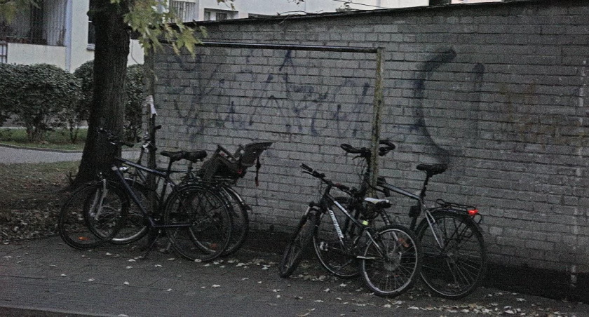 zdjęcie trzepak 