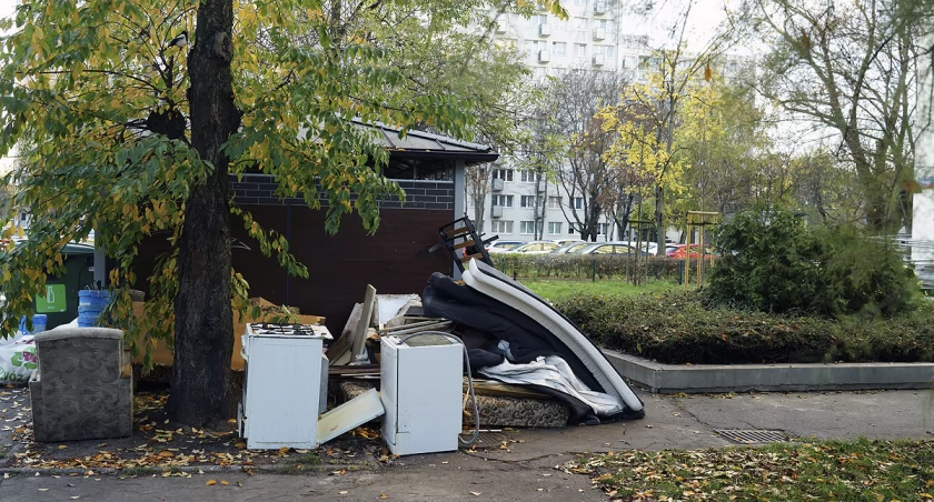zdjęcie śmietnik 