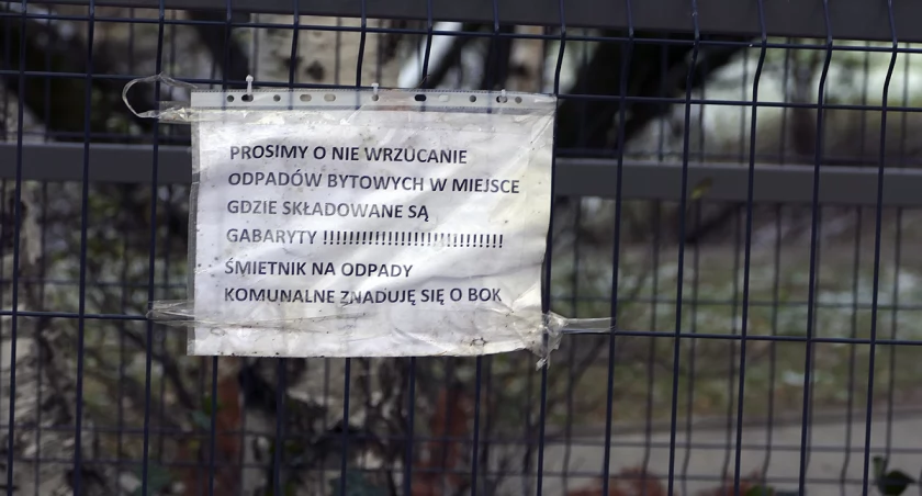 zdjęcie śmietnik 