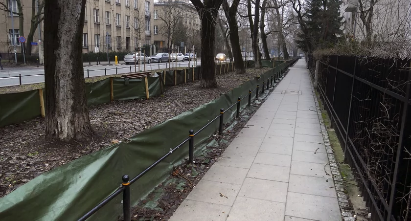 zdjęcie trawnik na Mokotowie 