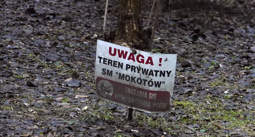 zdjęcie SM Mokotów