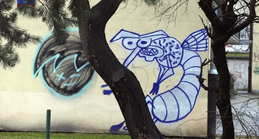 zdjęcie graffiti na Mokotowie 