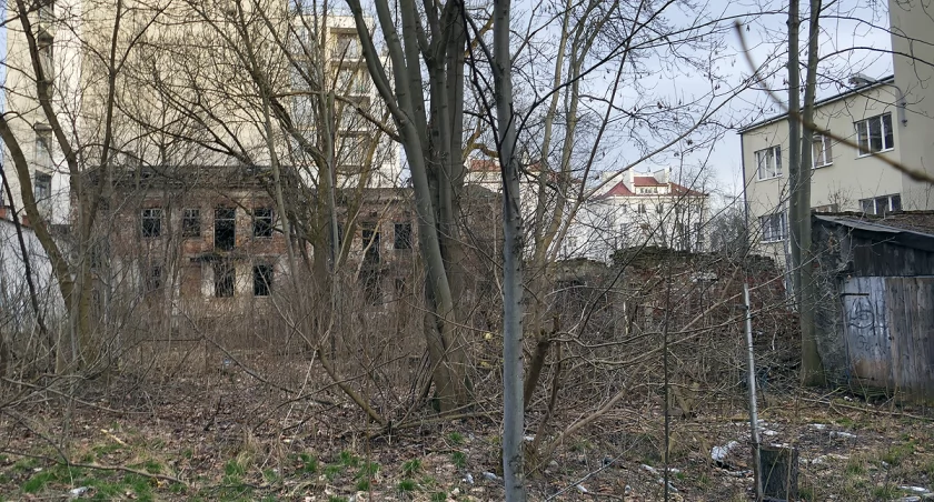 zdjęcie Rudera z ulicy Stępińskiej