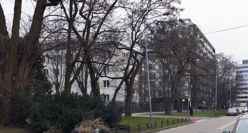 zdjęcie Latarenka z ulicy Naruszewicza
