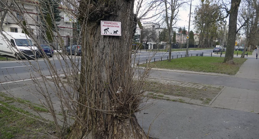 zdjęcie Posprzątaj po swoim psie 