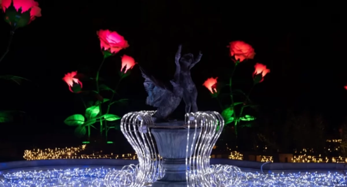 Społeczne, Królewski Festiwal Światła NADCHODZI! programie - zdjęcie, fotografia