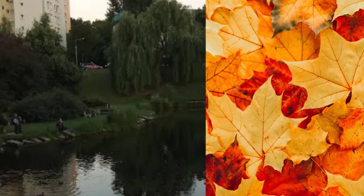 Zieleń, Najbardziej klimatyczne parki Mokotowie jesienny spacer! - zdjęcie, fotografia