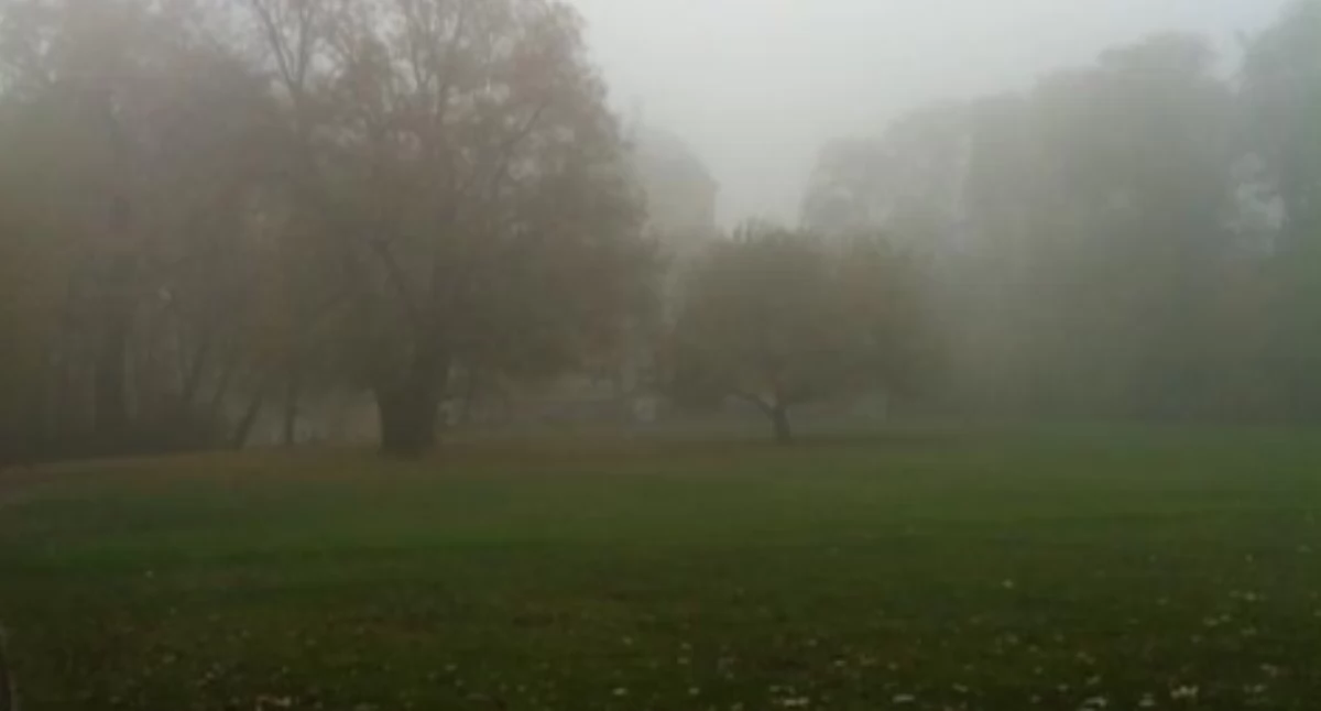 Zieleń, TAJEMNICE KRÓLIKARNI OKOLIC Spacer Mokotowie - zdjęcie, fotografia