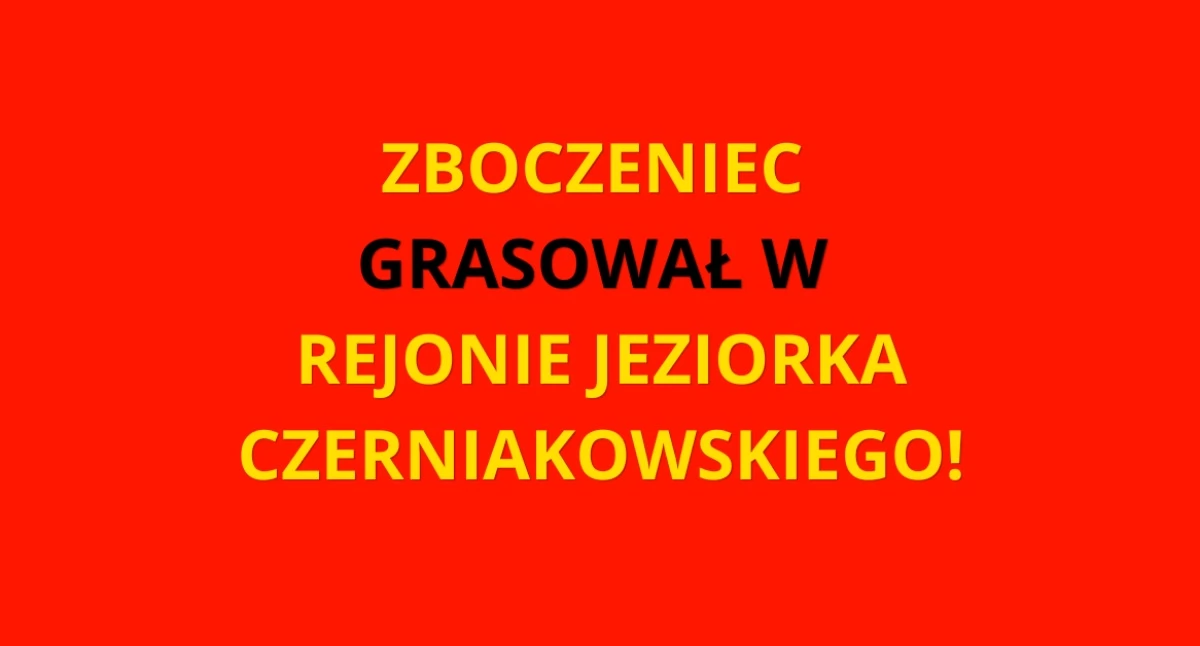 Działania Służb, WSTRĘTNY ZB*CZENIEC UJĘTY! Akcja Mokotowie - zdjęcie, fotografia