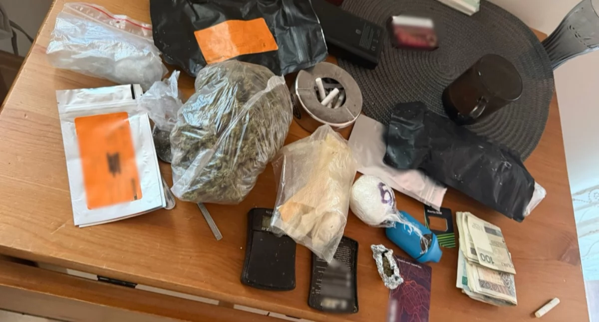 Działania Służb, Policjanci przeprowadzili akcję Pradze Południe! - zdjęcie, fotografia