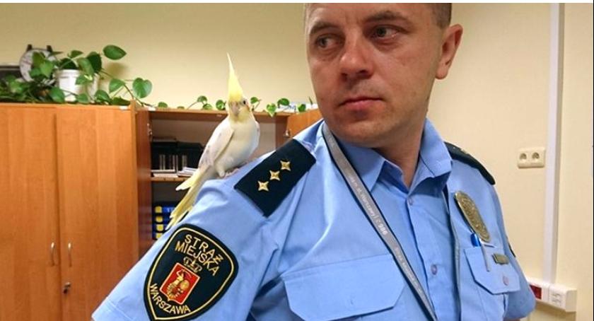 Na Konstancińskiej Nimfa wleciała do mieszkania na 10. piętrze i chciała się zaprzyjaźnić