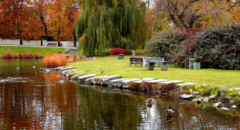 Czy park Morskie Oko doczeka się jakiejś rewitalizacji, bo strach tam chodzić…