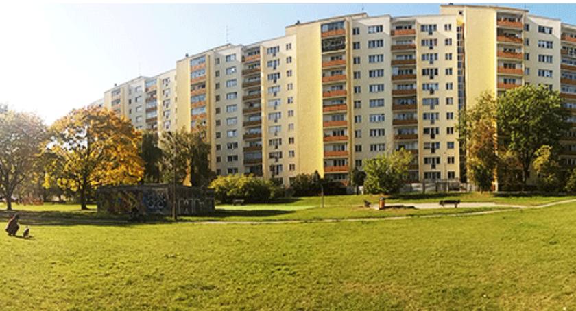 Na Mokotowie rok 2018 pod znakiem zieleni: drzew, krzewów, trawników i parków…
