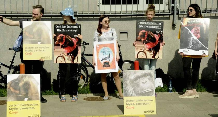 Czy cyrk bez zwierząt to jeszcze cyrk? Protestujący pod cyrkiem Korona na Stegnach twierdzą, że tak.