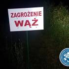 zdjęcie nr 11