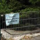 Fotka nr 2 z 3