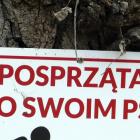 Fotka nr 3 z 4