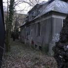 Fotka nr 4 z 6