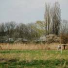 Fotka nr 3 z 23