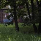 zdjęcie nr 9