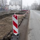 Fotka nr 4 z 5