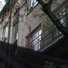 Fotka nr 5 z 8