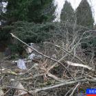 zdjęcie nr 11