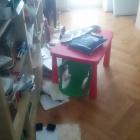 zdjęcie nr 7