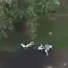 Fotka nr 4 z 6