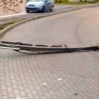 Fotka nr 2 z 4