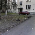 zdjęcie nr 9