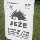 Fotka nr 3 z 4
