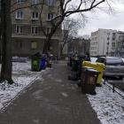 Fotka nr 5 z 6