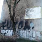 Fotka nr 5 z 9