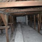 Fotka nr 5 z 13
