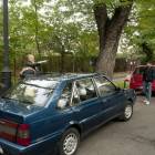 Fotka nr 3 z 43