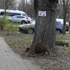 Fotka nr 2 z 4