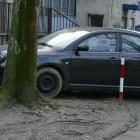 Fotka nr 4 z 5