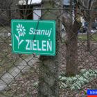 Fotka nr 0 z 20