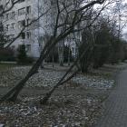 Fotka nr 0 z 5